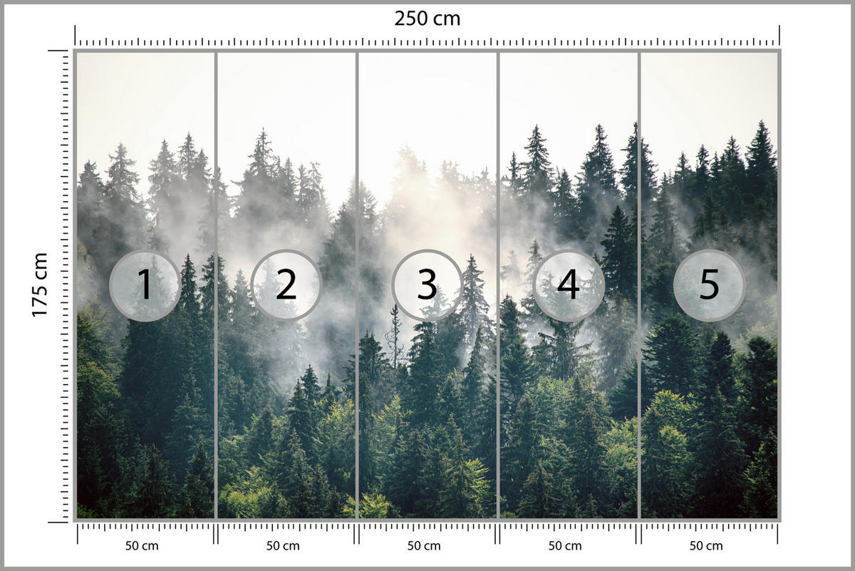 FOTOTAPETE für Wohnzimmer Nebeliger Nadelwald Berg Mystik Bäume 250x175 - Weiß/Grün, Papier (250/175cm) - Muralo