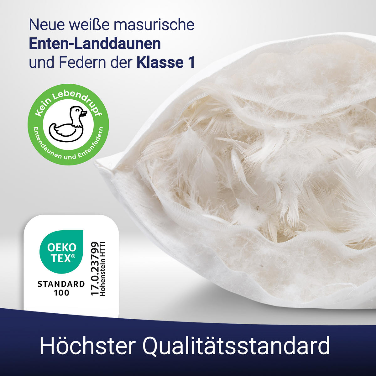 KISSEN, 40x40 cm, 100% Baumwolle, Weiß - Weiß, Textil (40/40cm) - Zollner