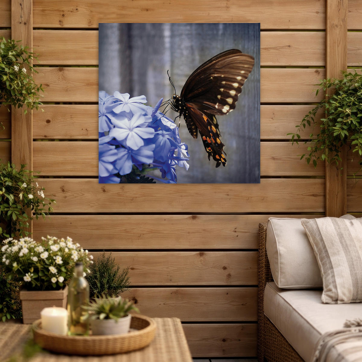 LEINWANDBILD Schmetterling auf einer Blume 50x50cm - Lila/Braun, Textil (50/1cm) - Art for the Home