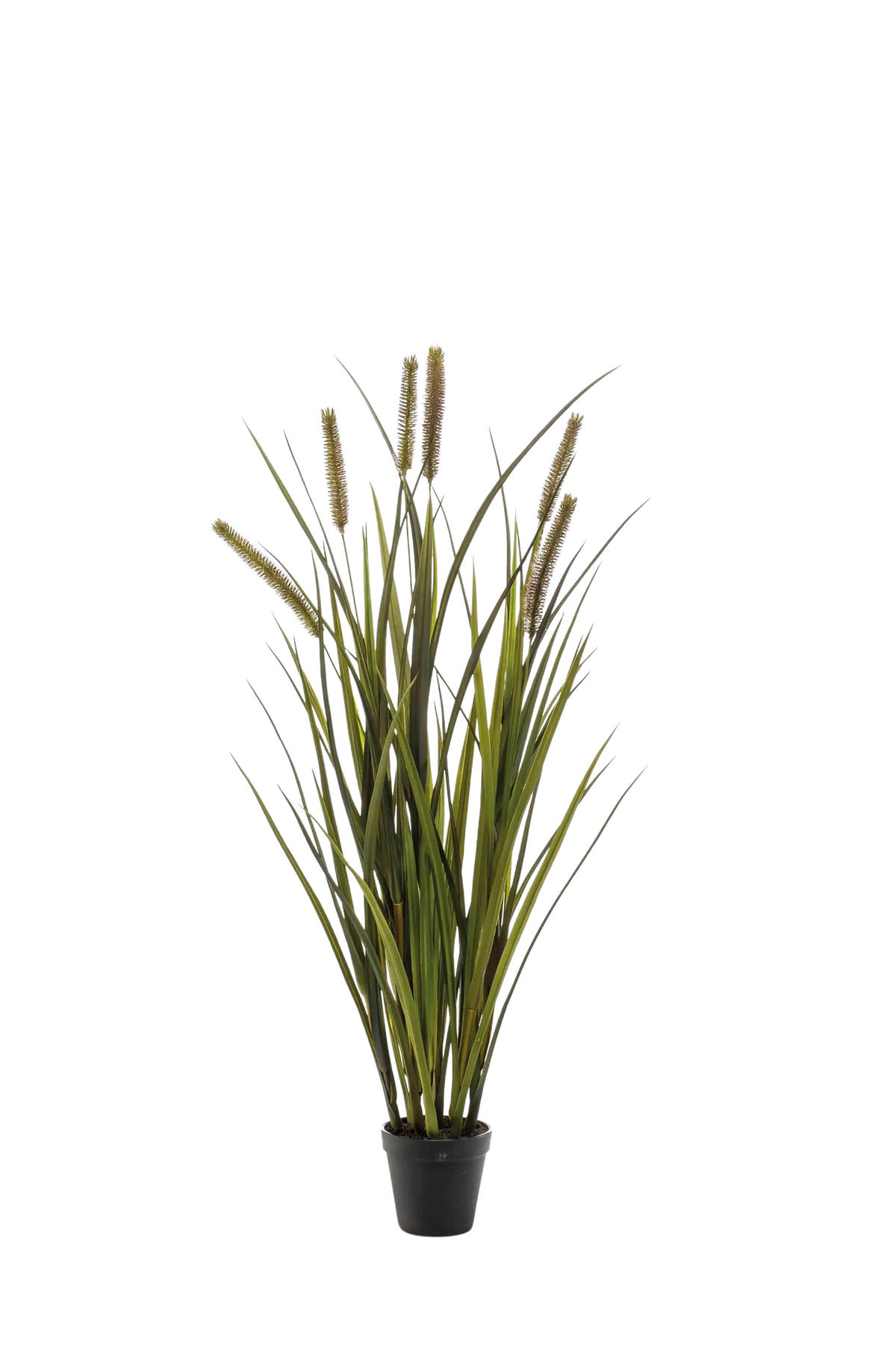 GRÄSER Künstliches Federborstengras - Patrizia 85 cm - Grün, Kunststoff (85cm) - Emerald