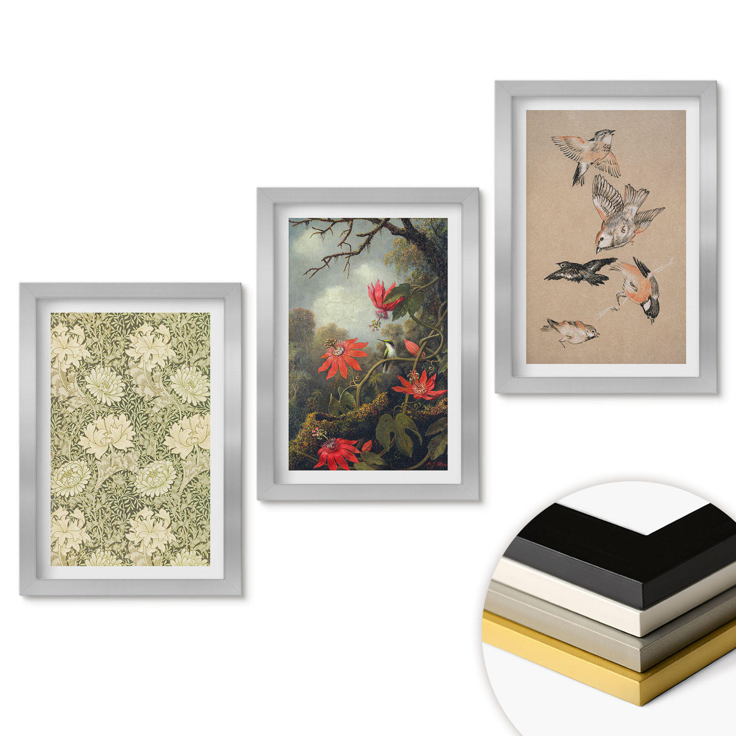 WANDBILDER 3er Set - 20x30 cm Silberner Rahmen - Blumen, Vögel, Natur - Silberfarben, Kunststoff (20/30cm) - ArtPrintCave