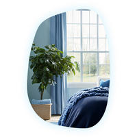 LED SPIEGEL 90,9 x 66 cm Unregelmäßige Form Kaltweiß 6500K - Transparent, Glas (90.9/66/0.4cm) - TULUP