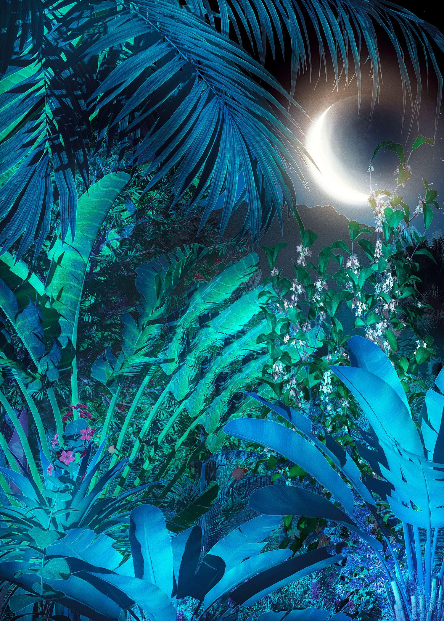 FOTOTAPETE Dschungel in der Nacht 200 x 280 cm - Blau, Papier (200/280cm) - Sanders & Sanders