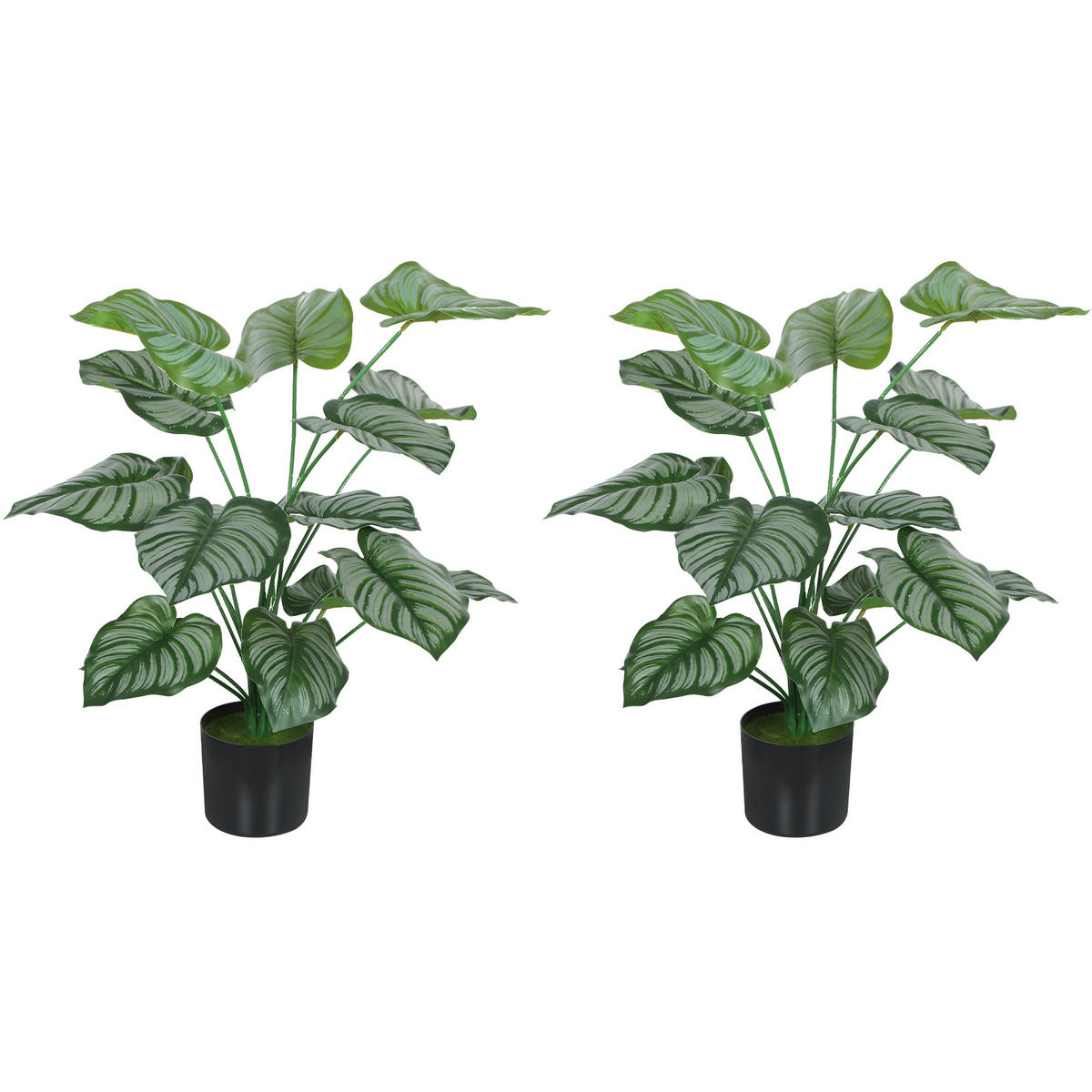 PFLANZENSET Grün realistisch mit Topf 65 cm (2er-Set) - Grün, Kunststoff (65cm) - PANGIVO