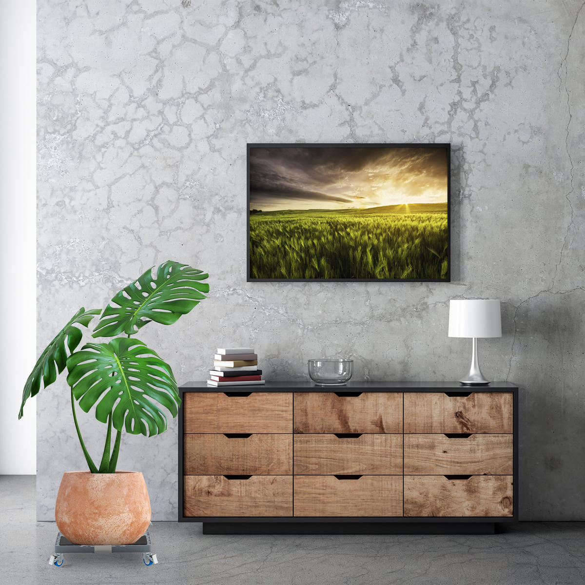 PFLANZENROLLER - Multicolor, Kunststoff/Metall (44/10.5/44cm) - Relaxdays