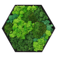 MOOSBILD Hexagon 38x34 cm Mooswand Indoor mit echtem echtem Kugelmoos-Islandmoos-Flachmoos-Mix und Holzrahmen Grün - Waldgrün, Naturmaterialien (38/34/3.4cm) - ECD-Germany