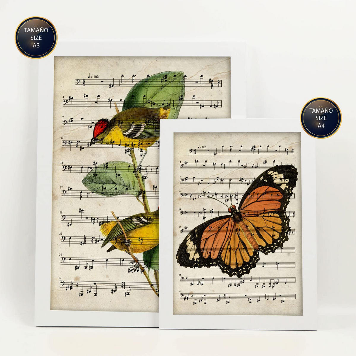 POSTER Set Mit 6 Musik Größe A3 & A4 Weißer Rahmen - Weiß, Papier (29.7/1cm) - Nacnic