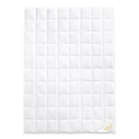 SOMMERBETTDECKE GOLDIE Gänsedaunen leicht - Weiß, Naturmaterialien/Textil (155/220cm) - Goldmarie 