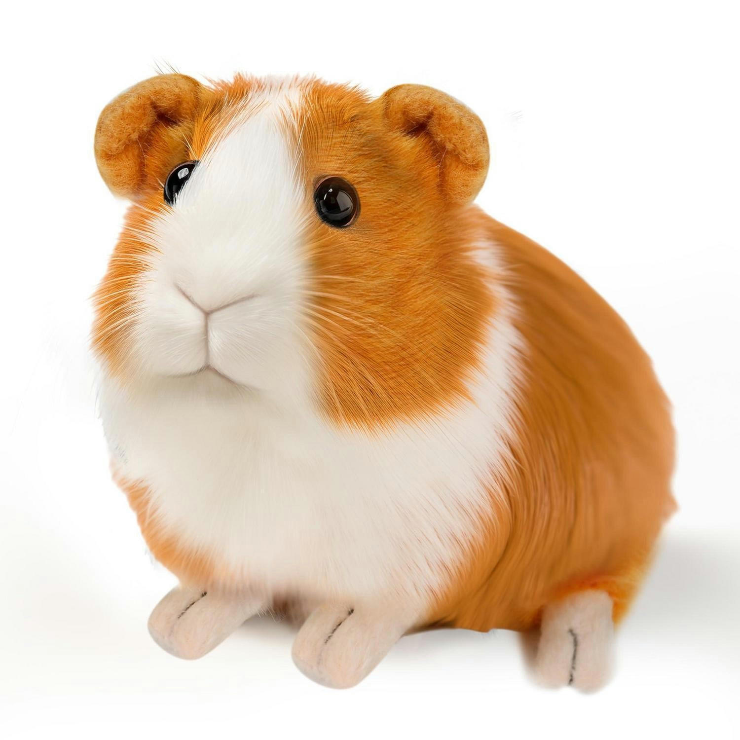 KUSCHELTIER Meerschweinchen Braun - Braun, Textil (3.5/18cm)