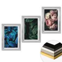 WANDBILDER 3er Set - 20x30 cm Silberner Rahmen - Blätter, Blüten, verschiedene Farben - Silberfarben, Kunststoff (20/30cm) - ArtPrintCave