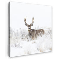 LEINWANDBILD Hirsche - Winter - Schnee - Tiere - Jahreszeiten - Weiß 50x50 cm - Hellbraun, Textil (50/50cm) - MuchoWow