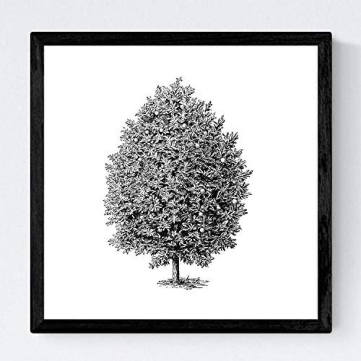 POSTER Set mit 4 Blättern der Hohe Bäume in weiß 30x30 cm Rahmenlos - Klar, Papier (30/3cm) - Nacnic