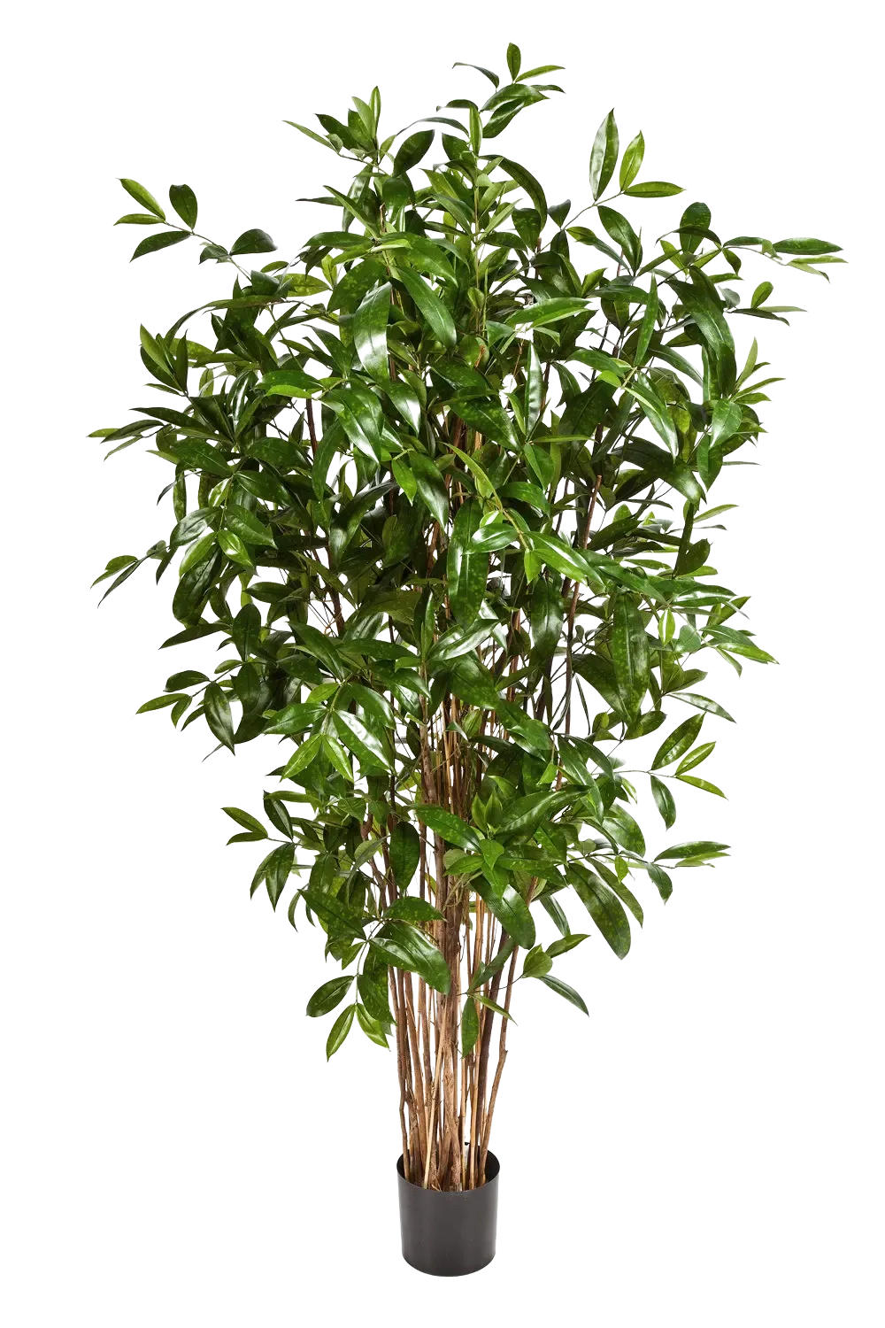 KÜNSTLICHER Drachenbaum - Ina 180 cm - Grün, Kunststoff (180cm) - aplanta