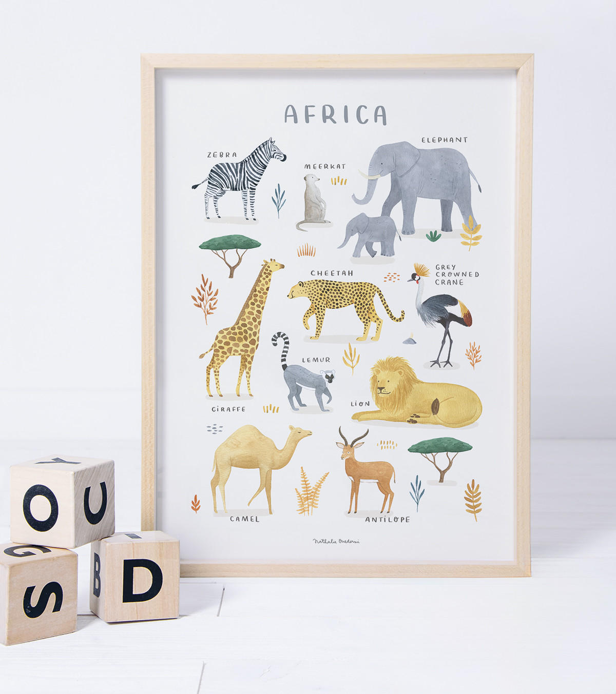 POSTER Tiere aus Afrika, 30x40 cm - Multicolor, Papier (30/1/40cm) - Lilipinso