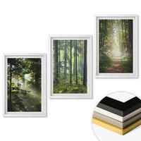 WANDBILDER 3er-Set - 40x60 cm Weißer Rahmen - Grüne Wälder mit Lichtstrahlen - Weiß, Kunststoff (40/60cm) - ArtPrintCave