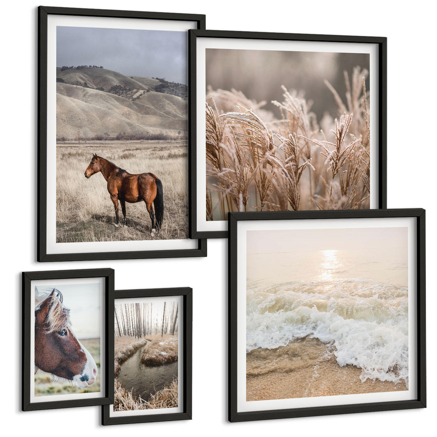 BILDER SET 5er Set - 50x50 cm & 20x30 cm & 40x60 cm Schwarzer Rahmen - Pferdelandschaft Seegraswald - Schwarz, Kunststoff (40/60cm) - TULUP