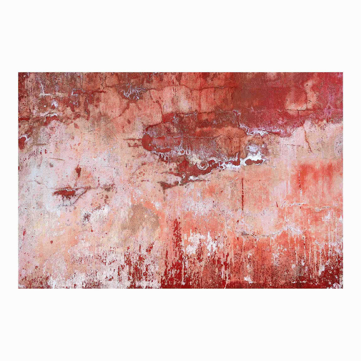 FOTOTAPETE Grunge Betonwand Rot 288/190 cm - Rot, Papier (288/190cm) - Bilderwelten