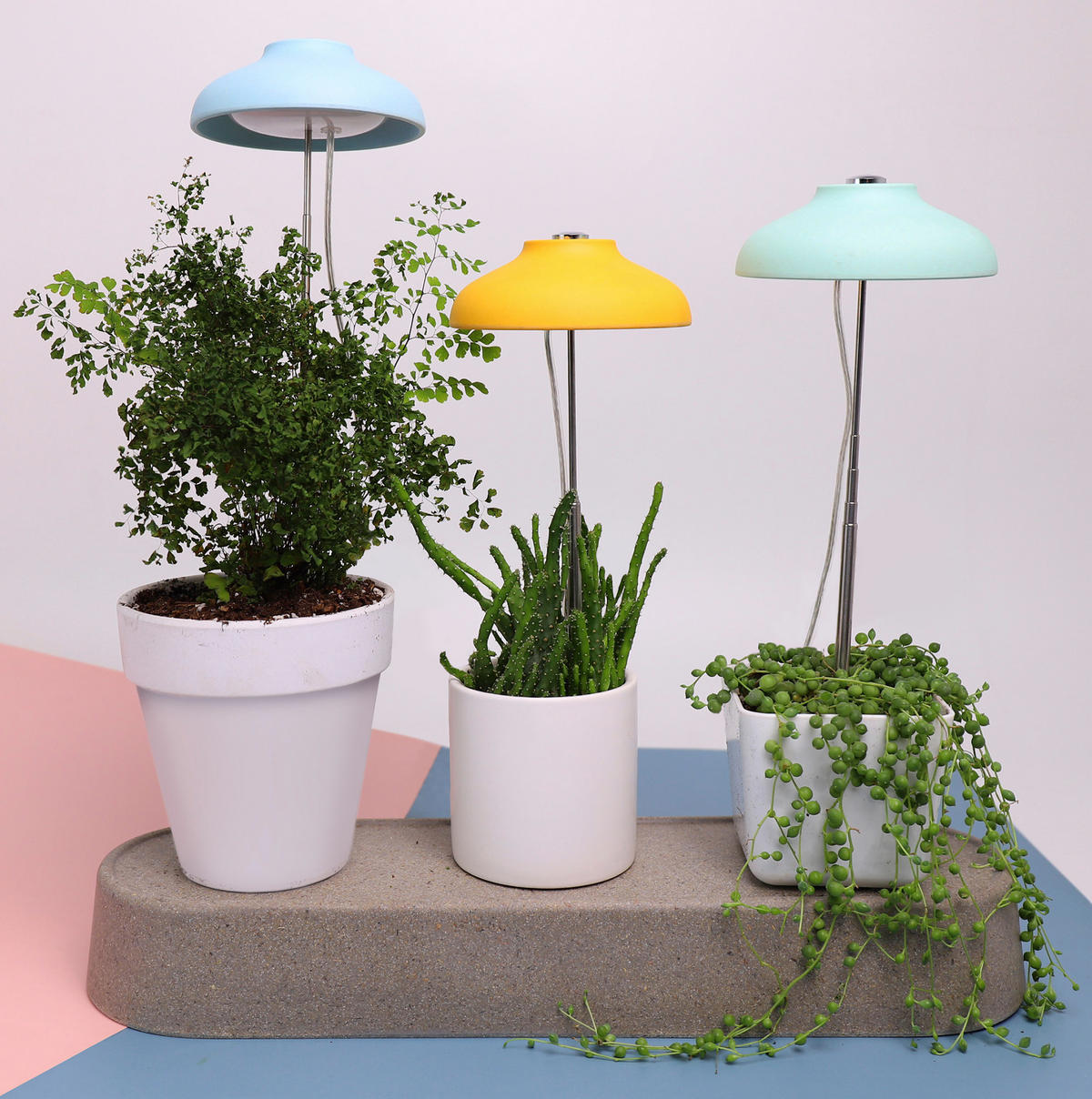 LED-PFLANZENLEUCHTE 2er-Set Pflanzenlicht mit Teleskopstab Gelb - Gelb, Kunststoff (11/70/11cm) - Northpoint