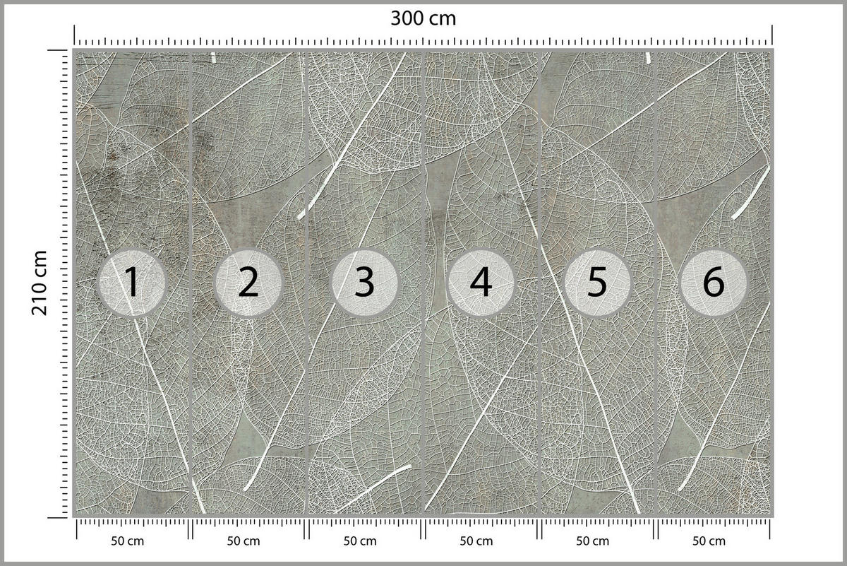 FOTOTAPETE für Schlafzimmer Weiße Blätter auf Beton 300x210 - Weiß/Grau, Papier (300/210cm) - Muralo