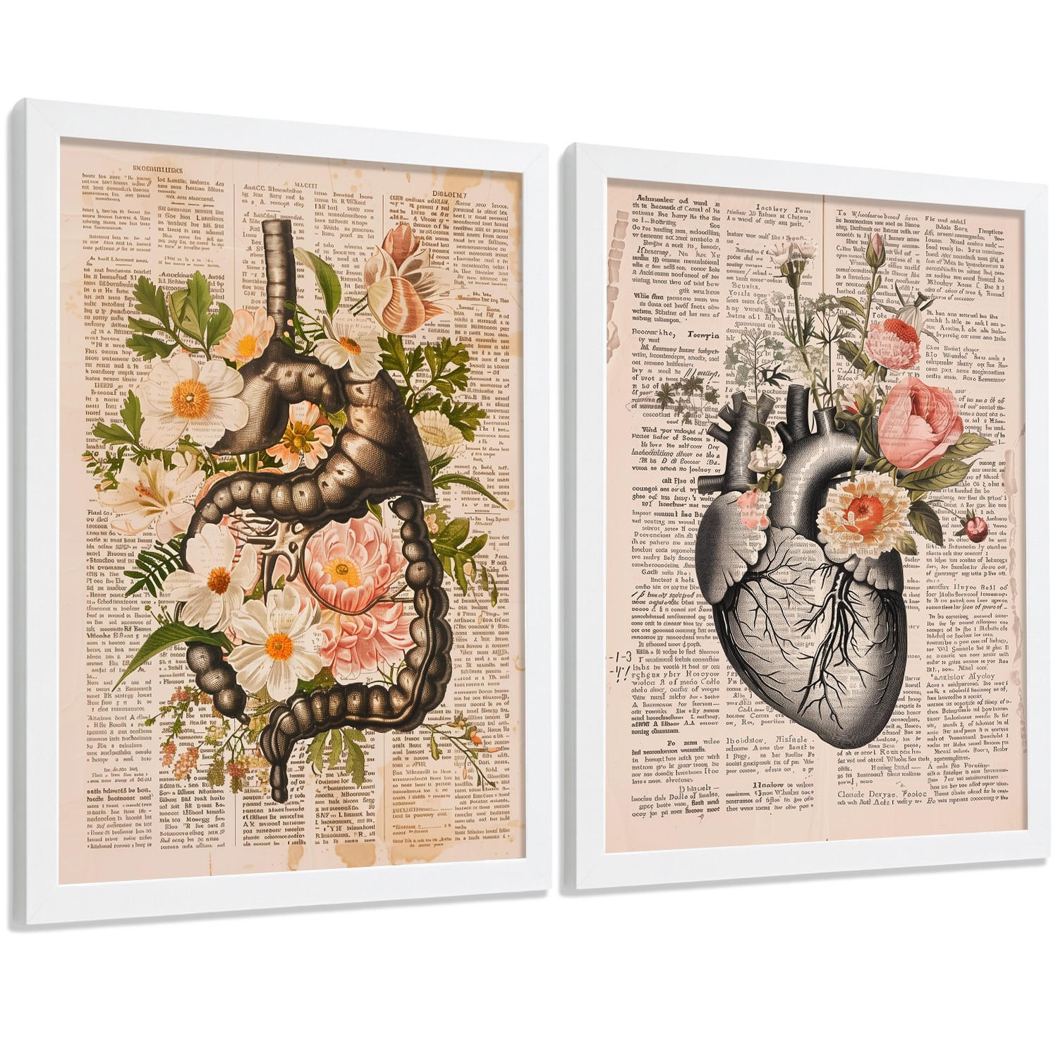 POSTER Set aus 2 Anatomie Mensch Drucke und Wandbilder mit Verdauungssystem Darm und Herz Klassisches Florales Design Größe Weißer Rahmen A4 - Weiß, Papier (21/29.7/3cm) - Nacnic