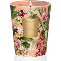 DUFTKERZE Pfirsichblüte & Wildleder 400 g Sojawachskerze 75 Std. Brenndauer - Multicolor, Paraffin (12.7cm)