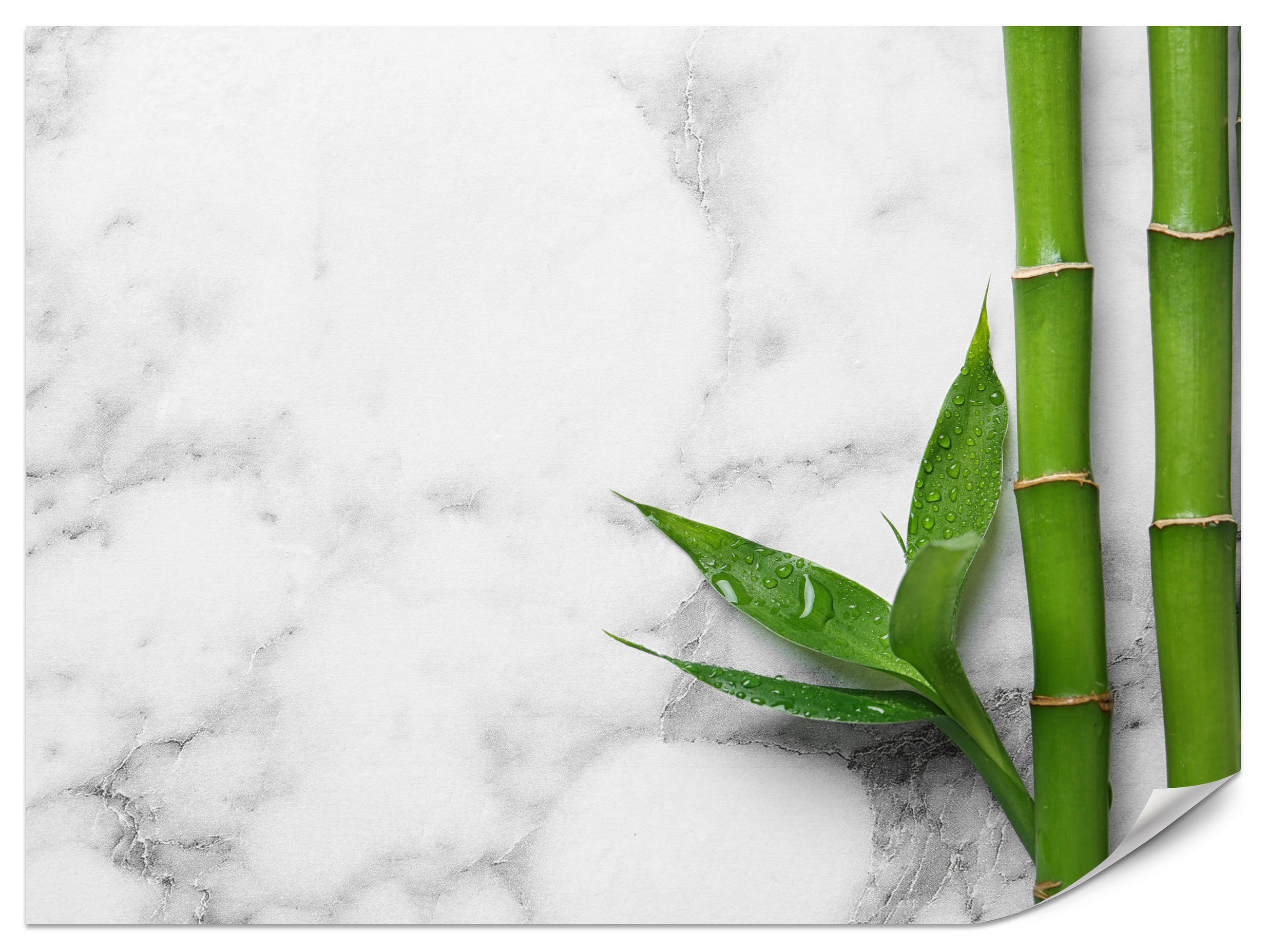 FOTOTAPETE für Küche Bambusblätter Grauer Marmor Exotisch Elegant 450x315 - Weiß/Grau, Papier (450/315cm) - Muralo