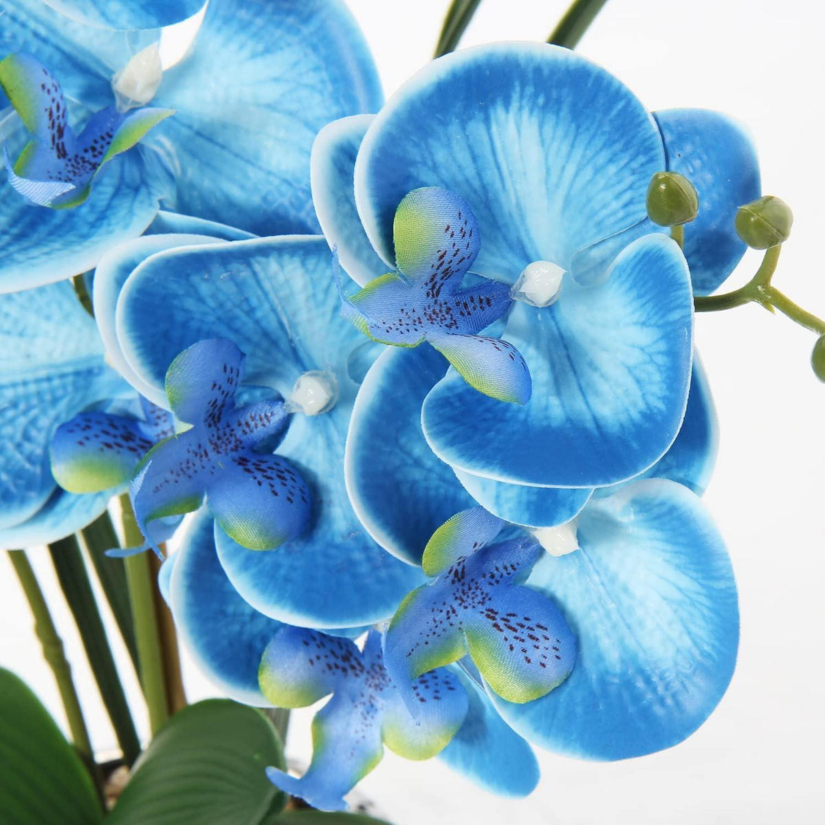 KUNSTBLUME Orchidee Phalaenopsis Blau 49 cm - Blau, Keramik (17.5cm)