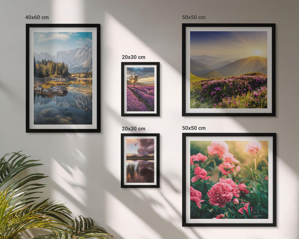 BILDER SET 5er Set - 50x50 cm & 20x30 cm & 40x60 cm Schwarzer Rahmen - Blumengarten, Bergwiese, Wasser - Schwarz, Kunststoff (40/60cm) - TULUP