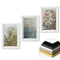WANDBILDER 3er-Set - 20x30 cm Weißer Rahmen - Tropische Pflanzen, Vögel, Natur - Weiß, Kunststoff (20/30cm) - ArtPrintCave