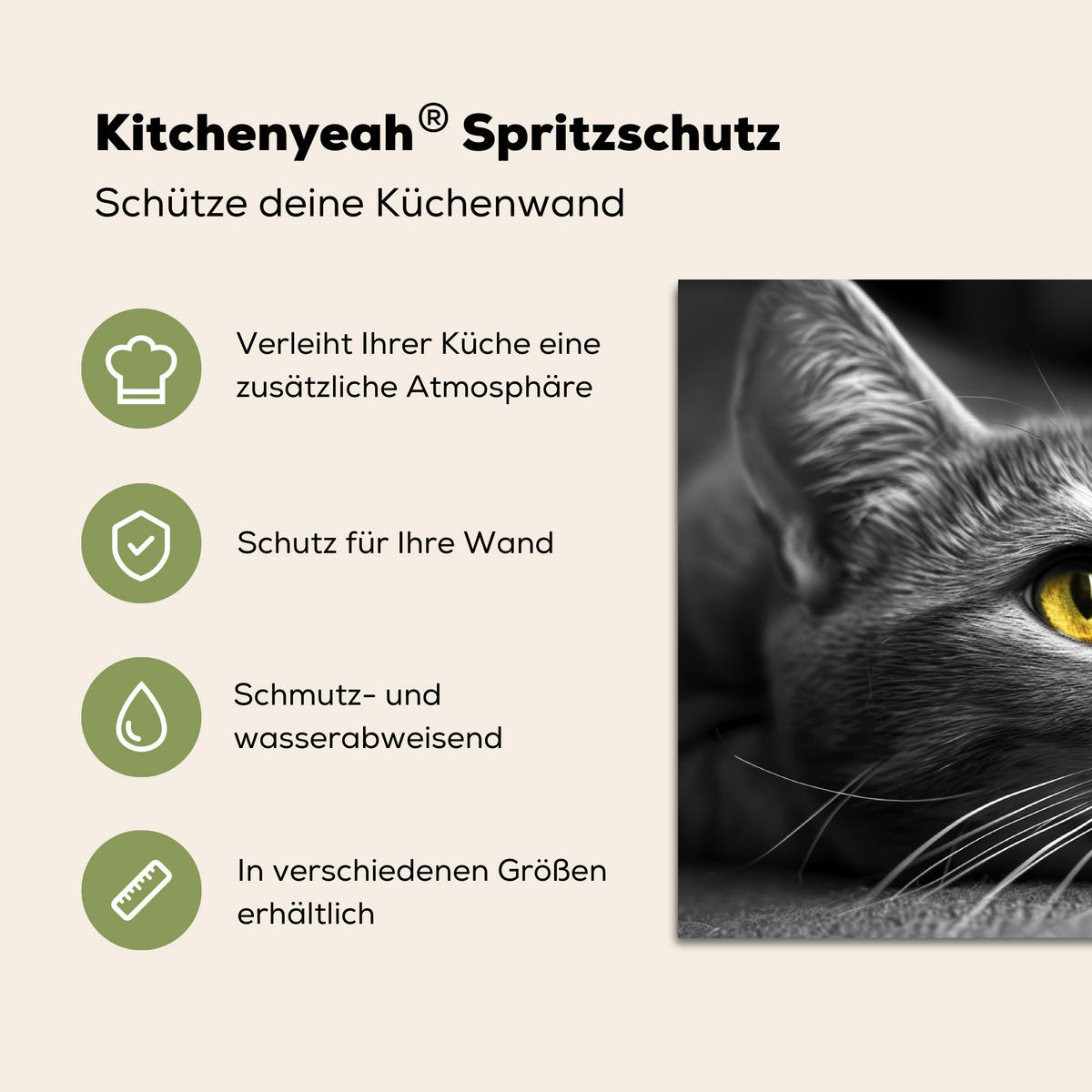 SPRITZSCHUTZ KÜCHE Katze - Grau - Tiere - Katze 70x50 cm - Grau, Metall (70/0.3/50cm) - MuchoWow
