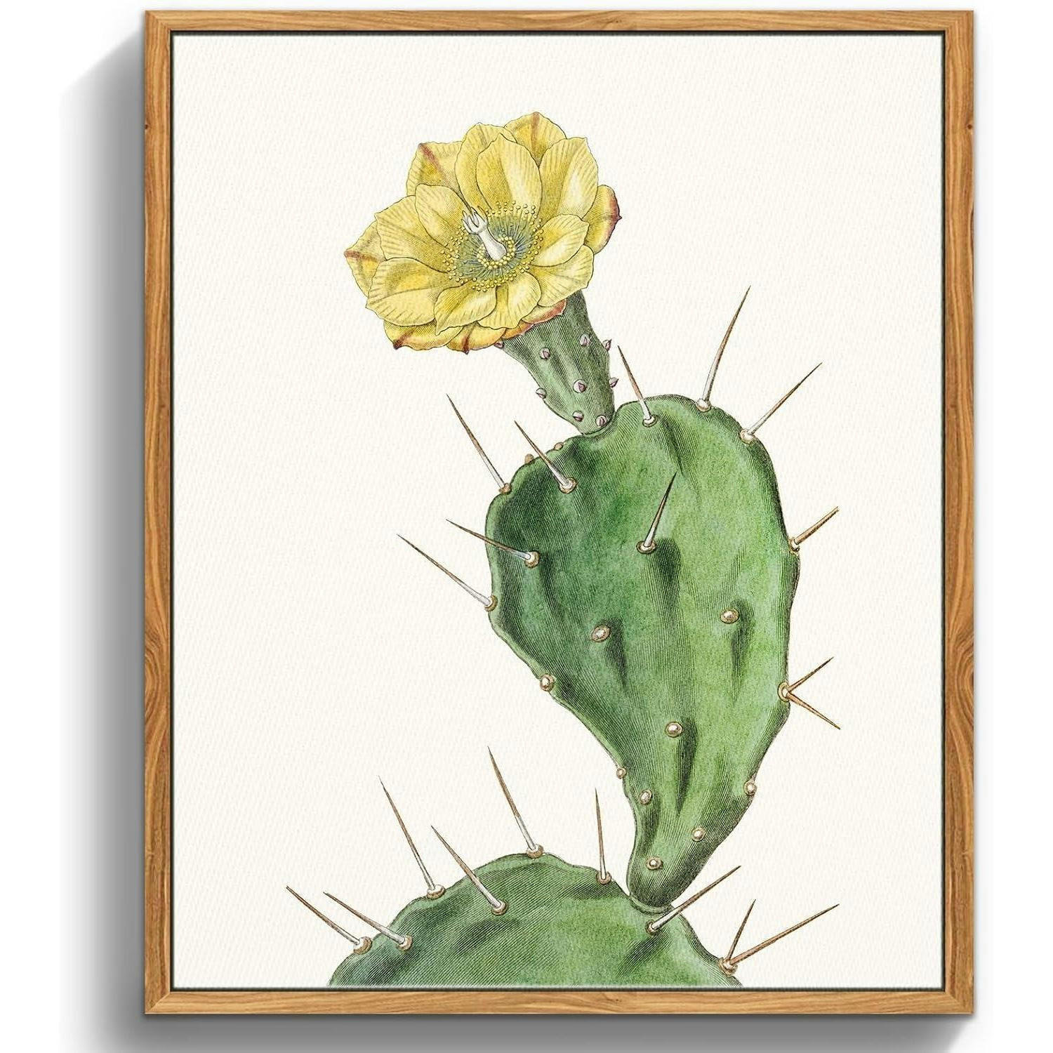 LEINWANDBILD mit Rahmen Botanisch Opuntie 30 x 40 cm - Grün, Holz (30/0.5cm)