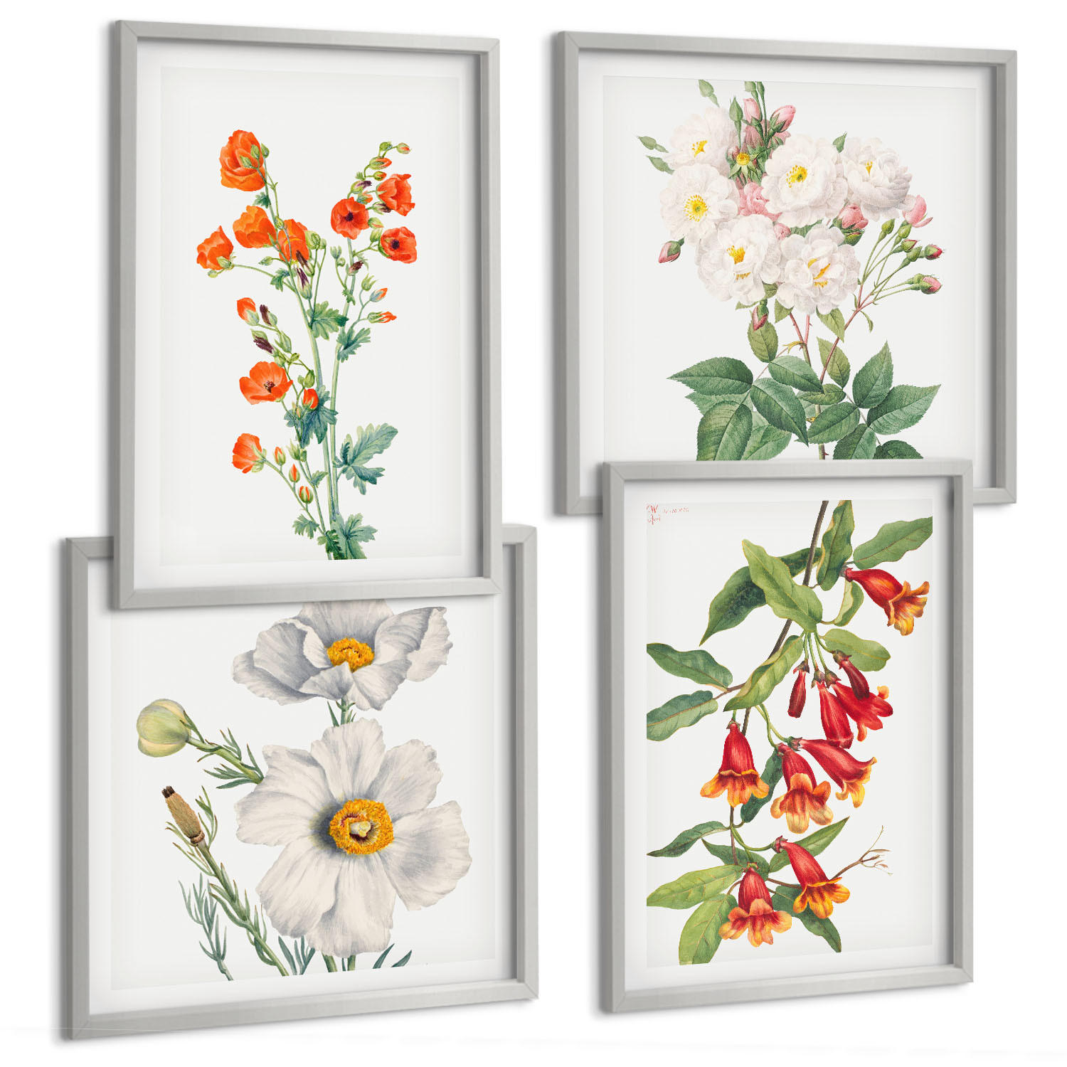 BILDER SET 4er Set - 50x50 cm & 40x60 cm Silberner Rahmen - Retro-Blumenmalerei - Silberfarben, Kunststoff (50/50cm) - TULUP