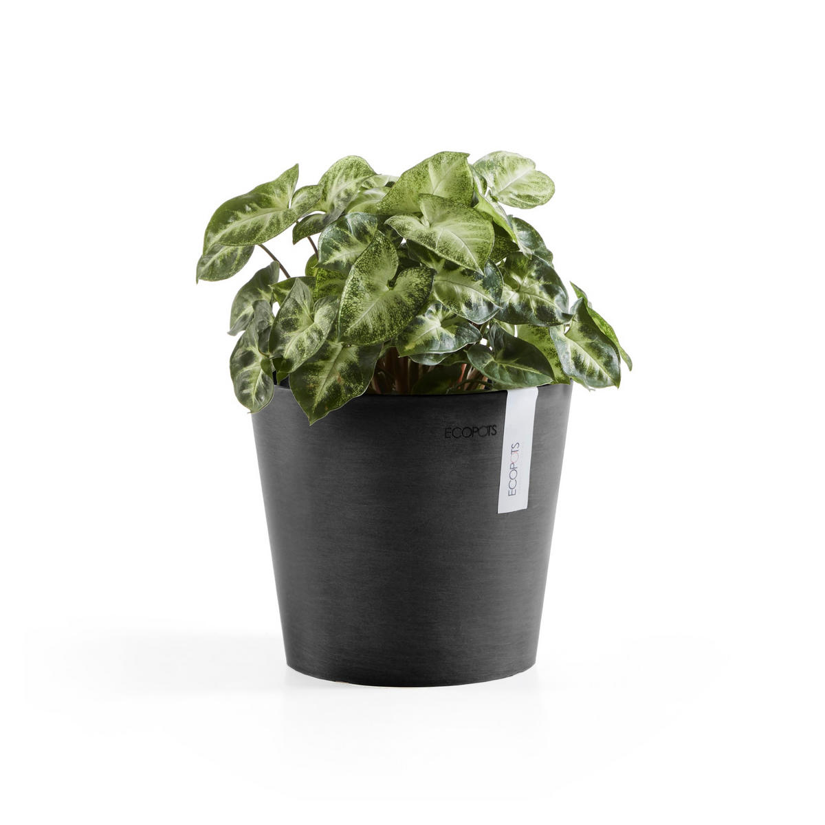 BLUMENTOPF Amsterdam 17/14,7 cm Dunkelgrau - Dunkelgrau, Kunststoff (17/14.7cm) - Ecopots