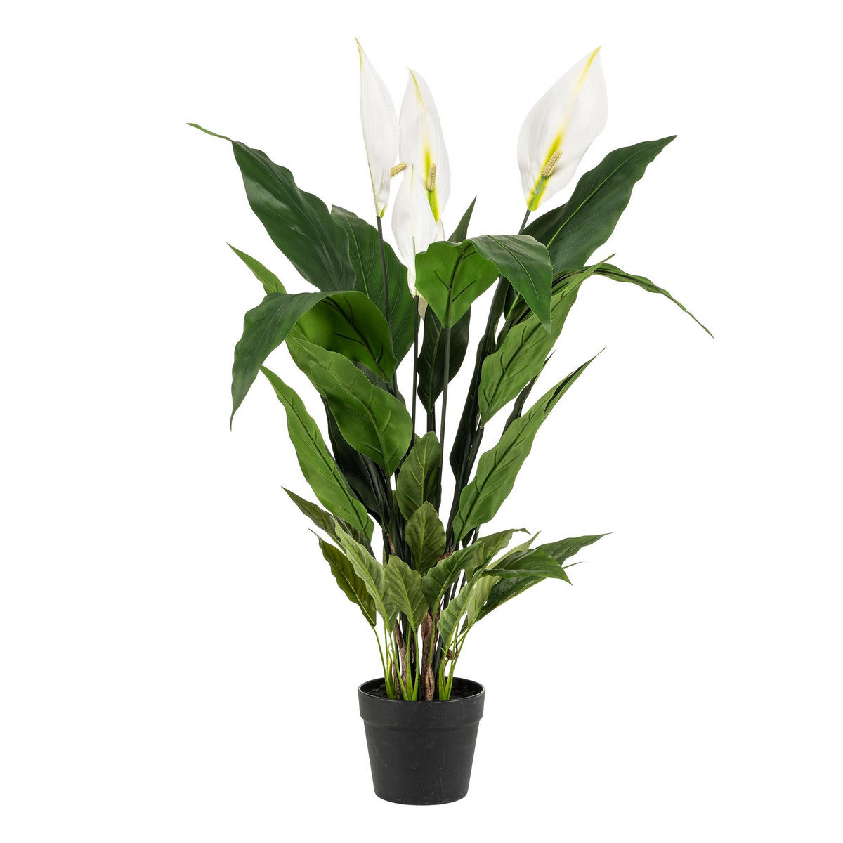 KUNSTPFLANZE Spathiphyllum Einblatt 90cm - Grün, Kunststoff (90cm) - Green boutiQ