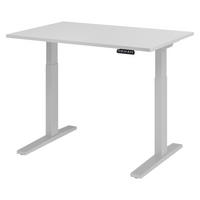 SCHREIBTISCH elektrisch XMKA 80/120/74 cm in Grau/Silberfarben - Silberfarben/Grau, Holzwerkstoff (80/120/74cm) - bümö