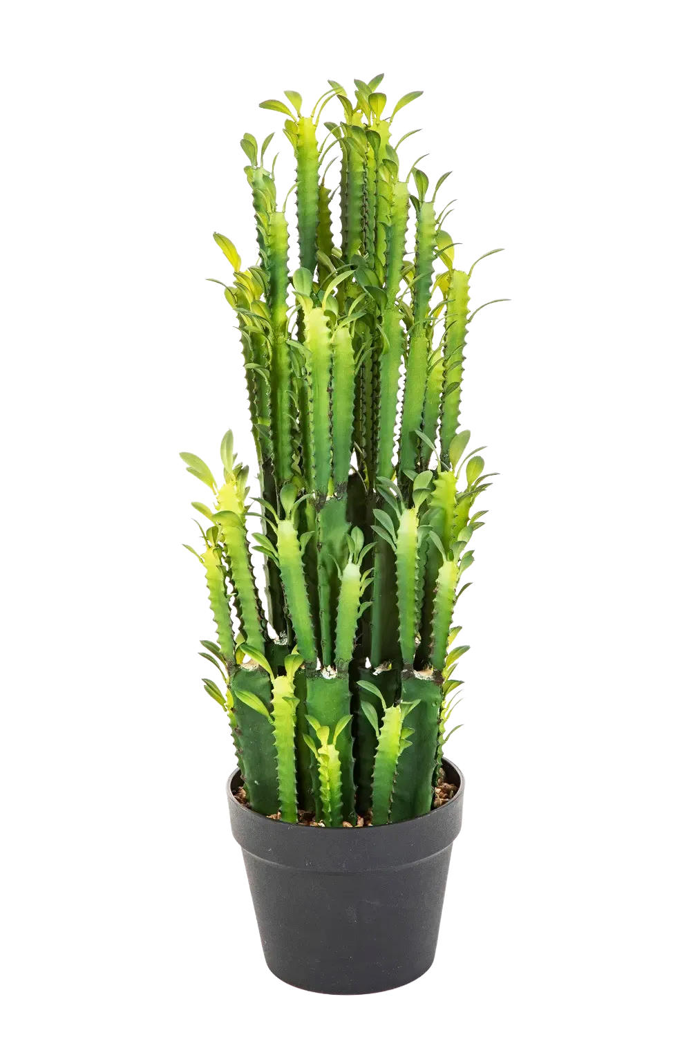 KAKTEEN Künstlicher Kaktus - Hermine 64 cm - Grün, Kunststoff (64cm) - aplanta