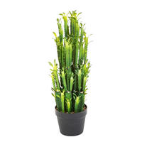 KUNSTPFLANZE Künstlicher Kaktus - Hermine 64 cm - Grün, Kunststoff (64cm) - aplanta