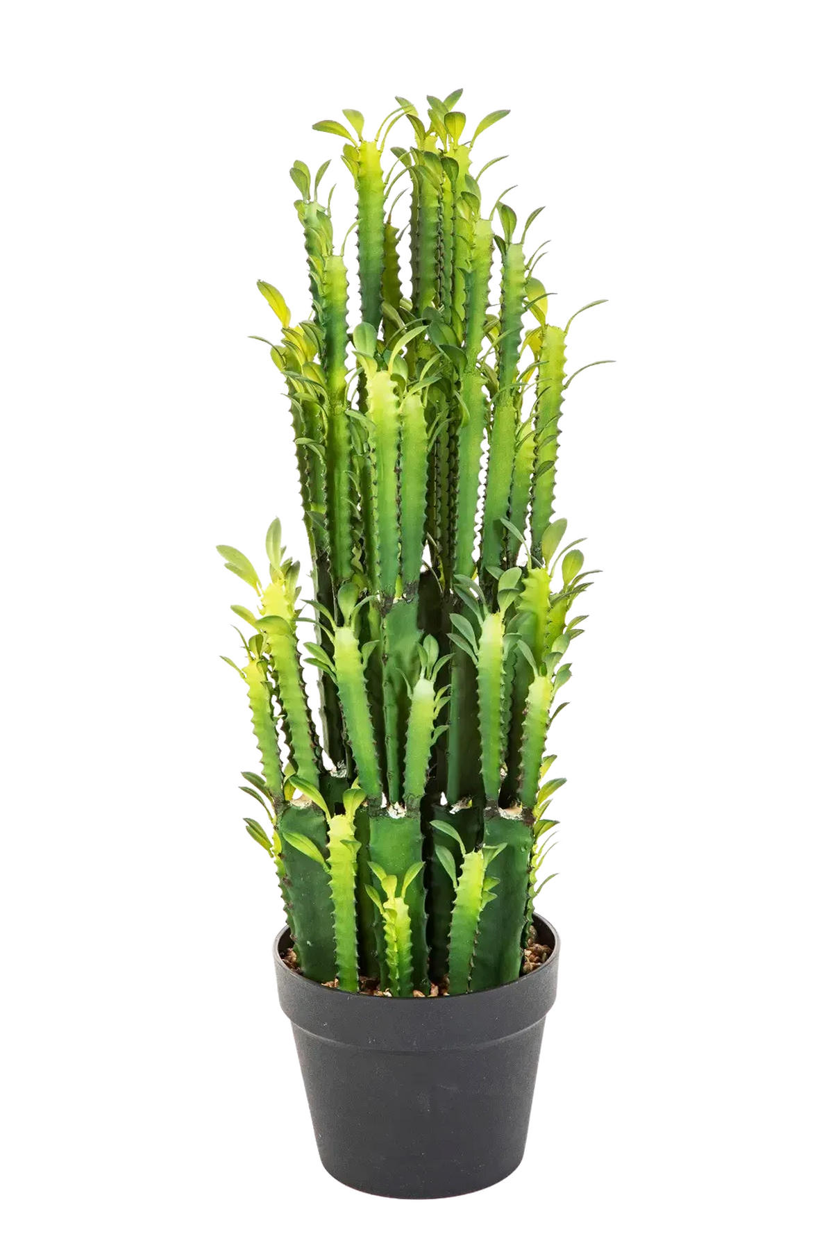 KUNSTPFLANZE Künstlicher Kaktus - Hermine 64 cm - Grün, Kunststoff (64cm) - aplanta