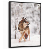 LEINWAND Bilder mit Rahmen - Wolf - Winter - Schnee - Natur - Tiere - 30x40 - Haselnussfarben, Textil (30/40cm) - MuchoWow