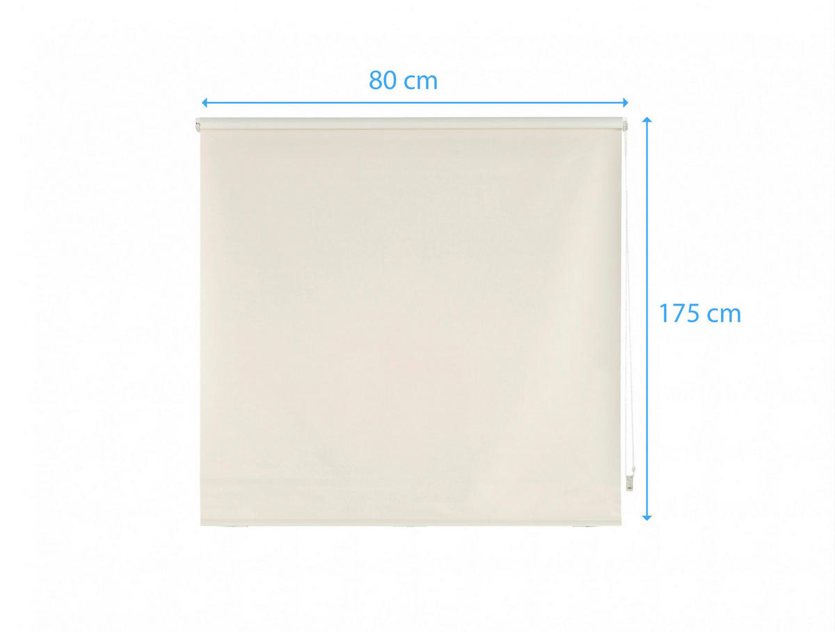 ROLLO Polyester Transluzent Beige 80x175 - Beige, Textil (80/175/1cm) - Purline