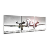 BILDER-SET aus Glas je 50x50 cm Flugzeug schwarz weiß - Weiß, Glas (150/50cm) - artissimo