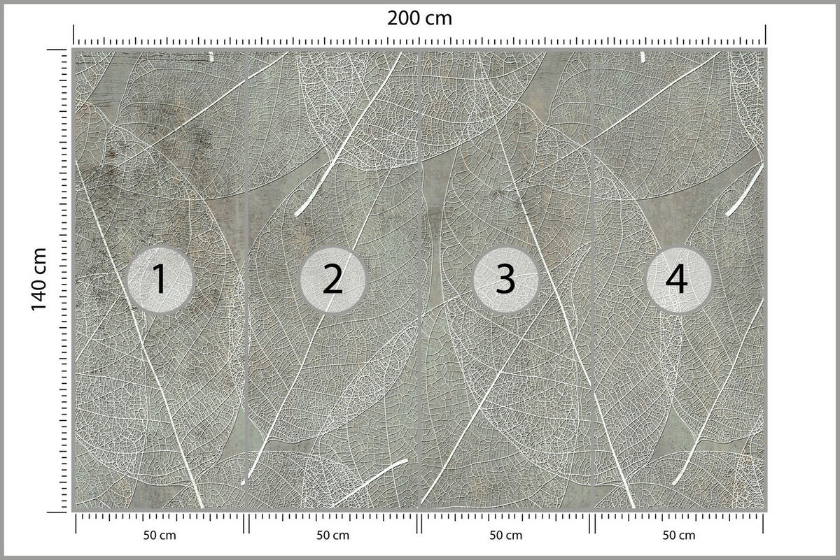 FOTOTAPETE für Schlafzimmer Weiße Blätter auf Beton 200x140 - Weiß/Grau, Papier (200/140cm) - Muralo