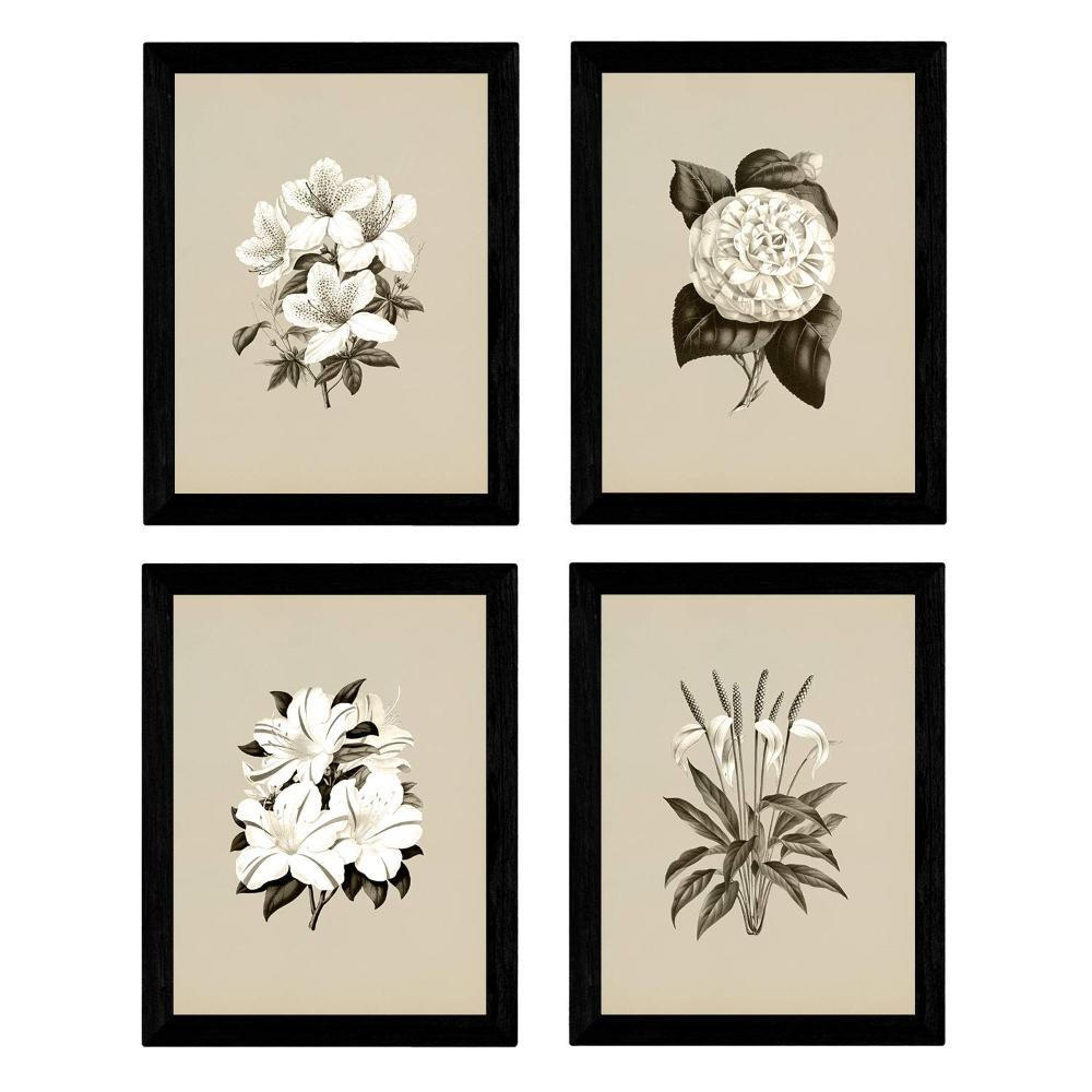 POSTER Set mit 4 Botanische Jahrgang Hintergrund Lila Blumen A3 Rahmenlos - Klar, Papier (29.7/3cm) - Nacnic