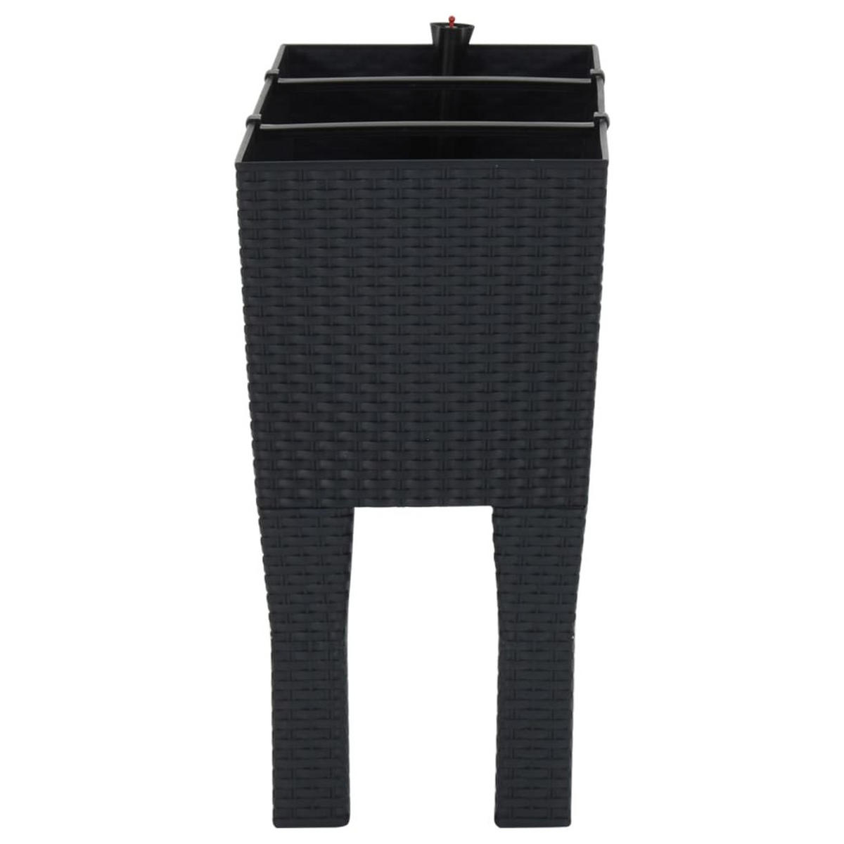HOCHBEET Anthrazit 60x25x46 cm PP-Rattan - Anthrazit, Kunststoff (60/46/25cm)