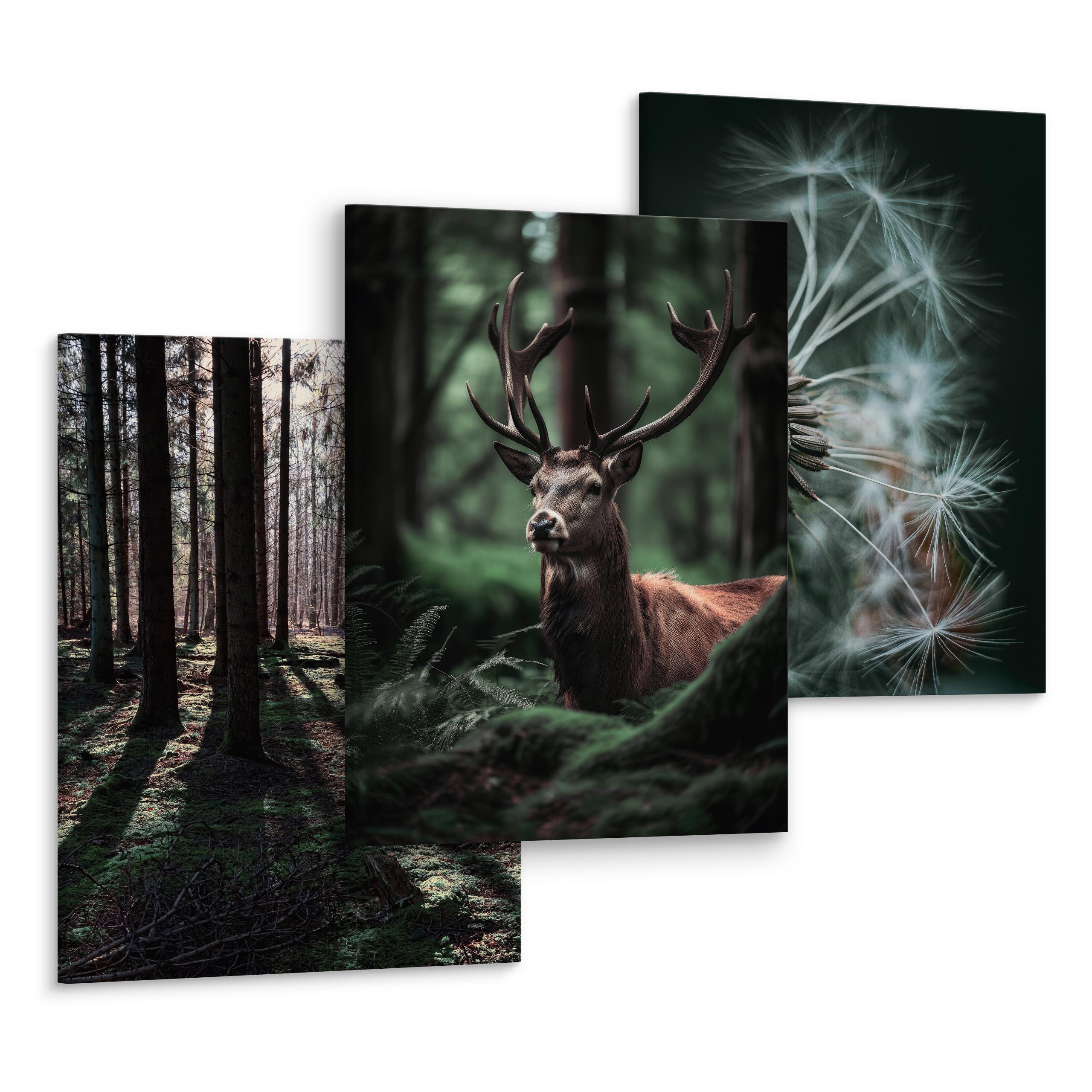 LEINWANDBILDER 3-er Set Wald Hirsch 3D - Schwarz/Weiß, Textil (90/40cm) - Muralo