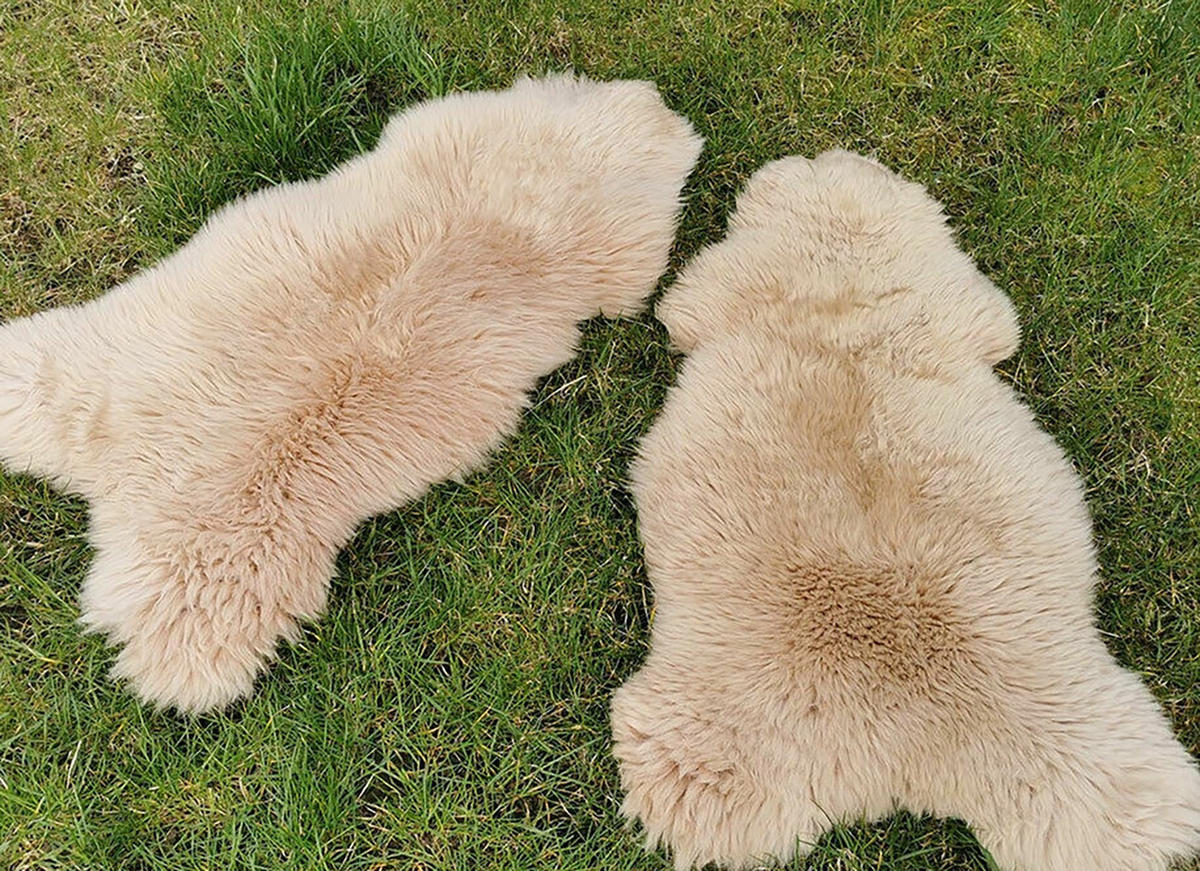 LAMMFELL Öko bunt gefärbt weich Fell Teppich Cappuccino ca. 110 cm - Cappuccino, Fell (60/110cm) - Provellus