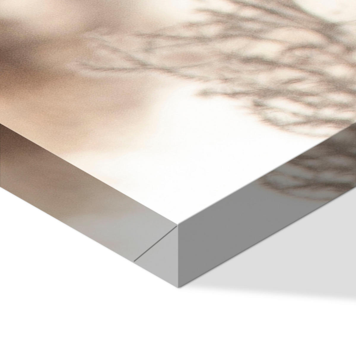 LEINWANDBILD Miskanthus 5-tlg. 100x50 cm - Multicolor, Holz (100/50cm) - LUMASOUL