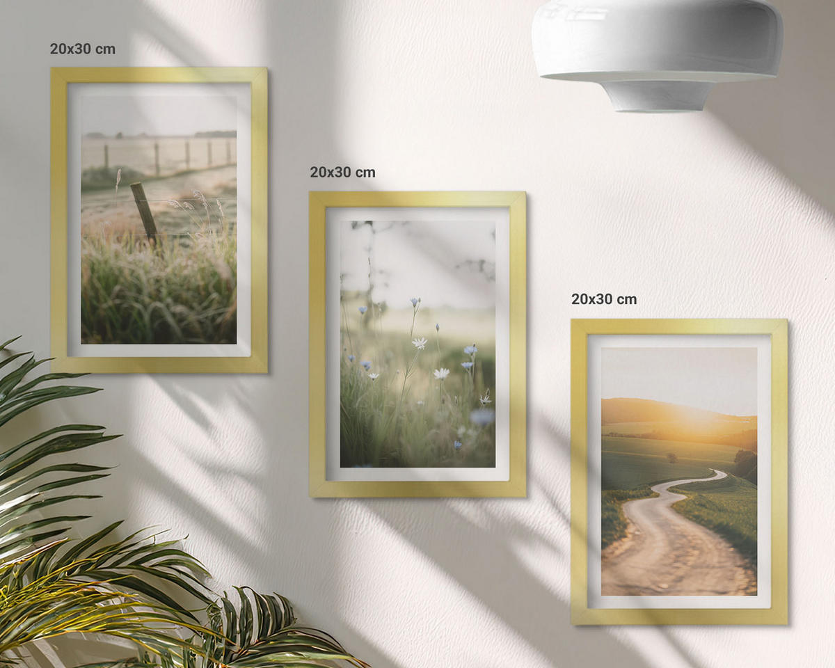 WANDBILDER 3er Set - 20x30 cm Goldrahmen - Landschaftswiesenstraße West - Goldfarben, Kunststoff (20/30cm) - ArtPrintCave