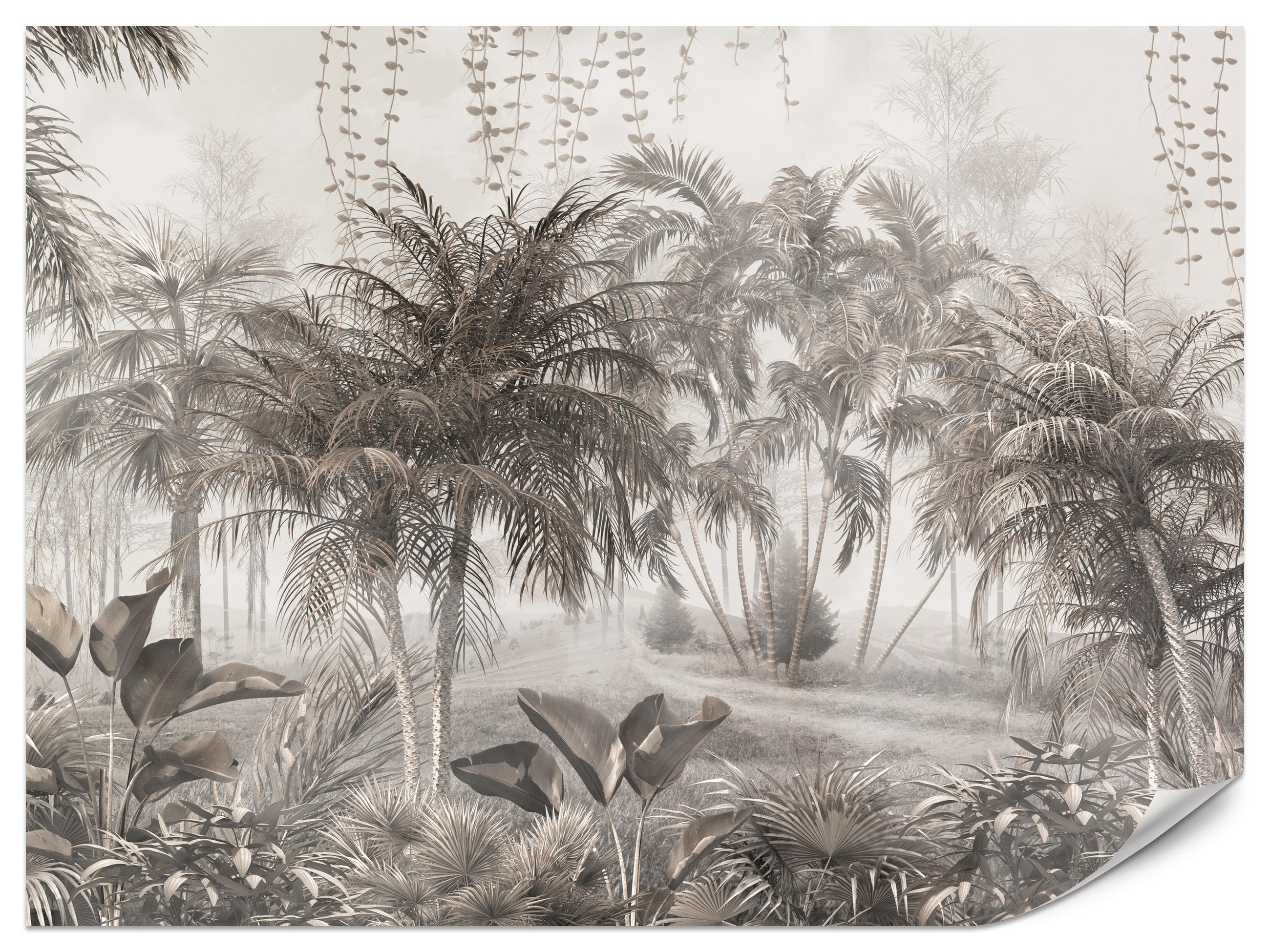 FOTOTAPETE für Büro Vintage Tropisch Dschungel Palmen Blätter 250x175 - Beige/Braun, Papier (250/175cm) - Muralo