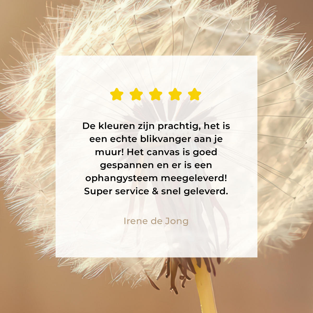 LEINWANDBILD Löwenzahn - Beige - Natur - Blume Room Decor 30x40 cm - Hellbraun, Textil (30/40cm) - MuchoWow